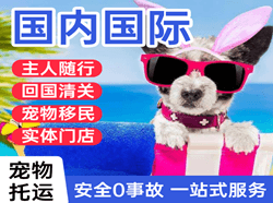 桂林两江航空快运国际宠物托运 【国